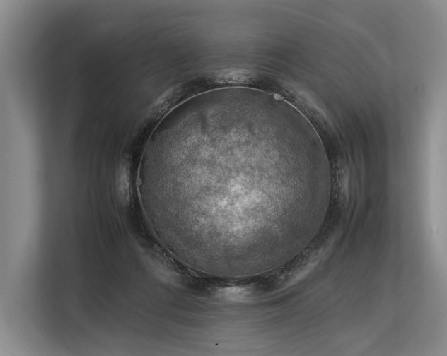 X0000113780312200909231321