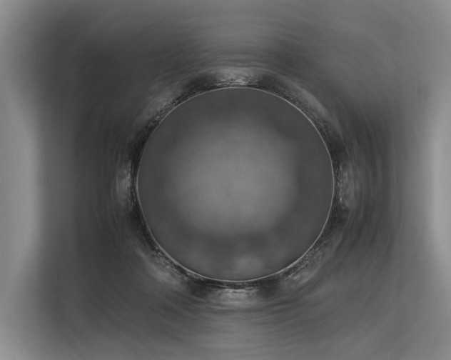 X0000113780314200909231321