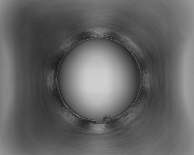 X0000113780318200909231321