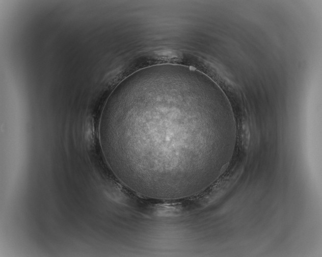 X0000113780320200909231321
