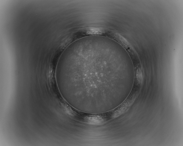 X0000113780322200909231321