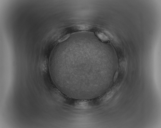 X0000113780325200909231321