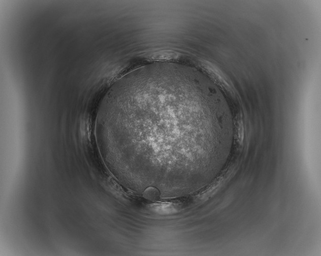 X0000113780326200909231321