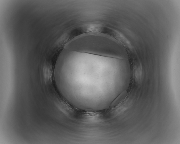 X0000113780328200909231321