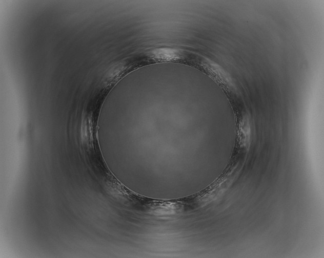 X0000113780330200909231321