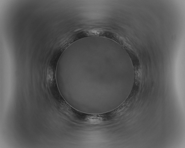 X0000113780331200909231321