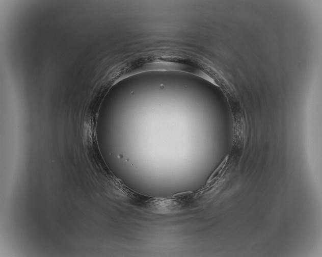X0000113780333200909231321