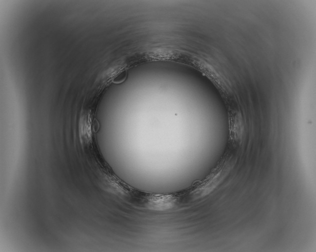 X0000113780334200909231320