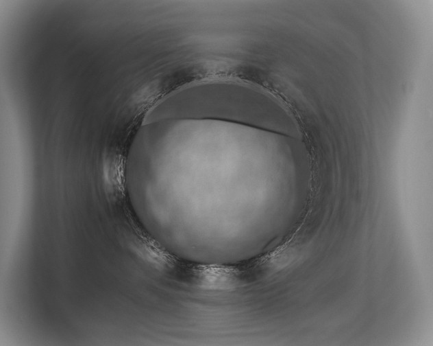 X0000113780336200909231320