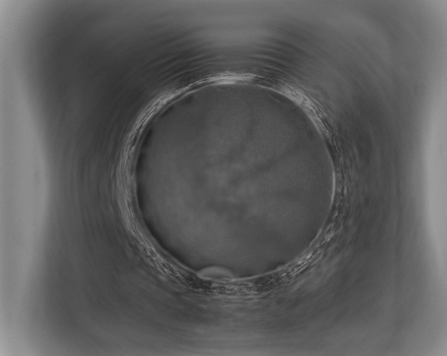 X0000113780337200909231320