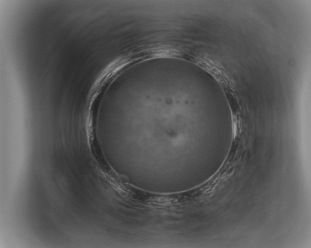 X0000113780339200909231320