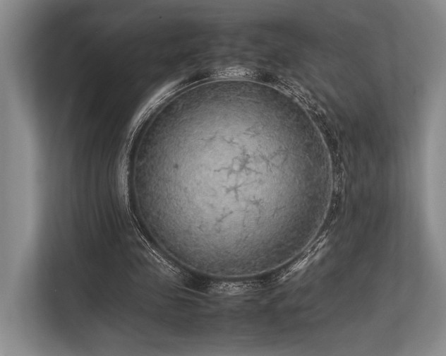 X0000113780341200909231320