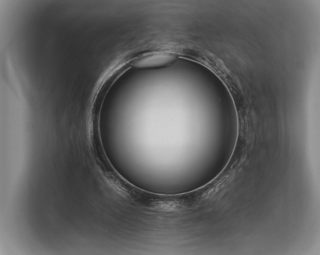X0000113780344200909231320