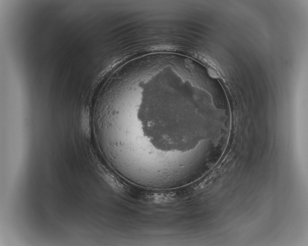 X0000113780345200909231320