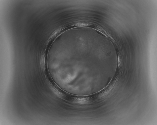 X0000113780349200909231320