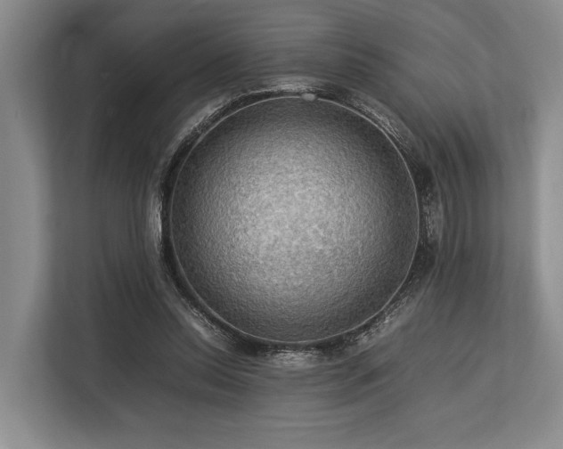 X0000113780350200909231320