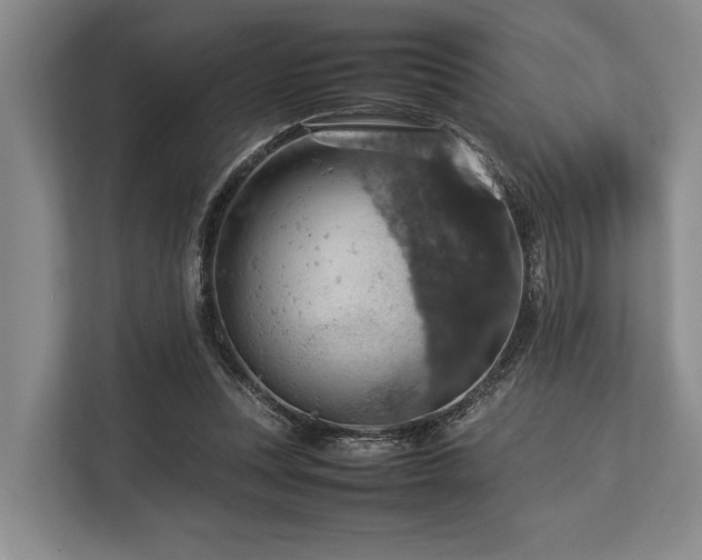 X0000113780351200909231320