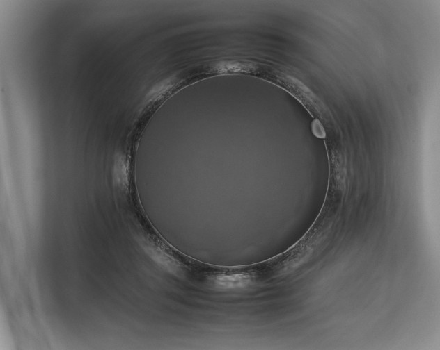 X0000113780357200909231320