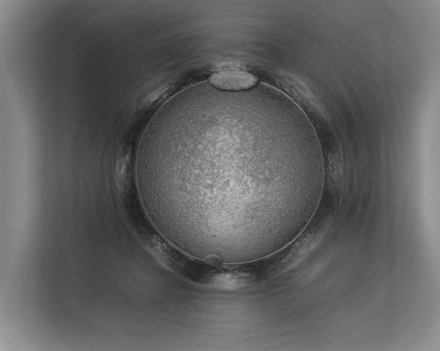 X0000113780364200909231320