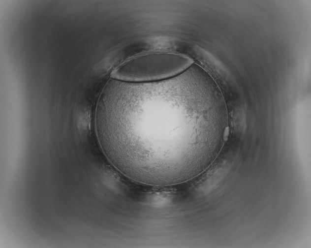 X0000113780368200909231320