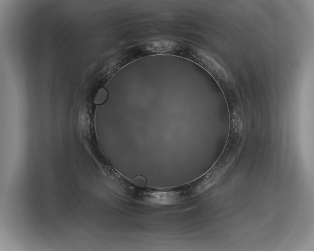 X0000113780371200909231320