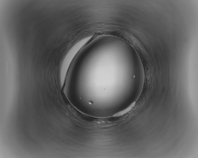 X0000113780372200909231320