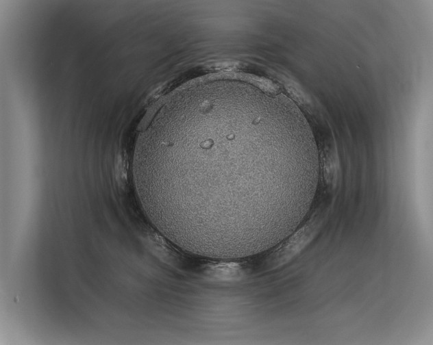 X0000113780374200909231320