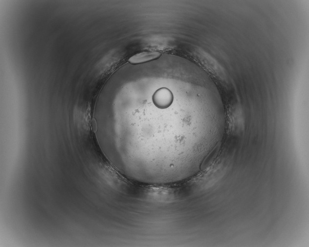 X0000113780376200909231320