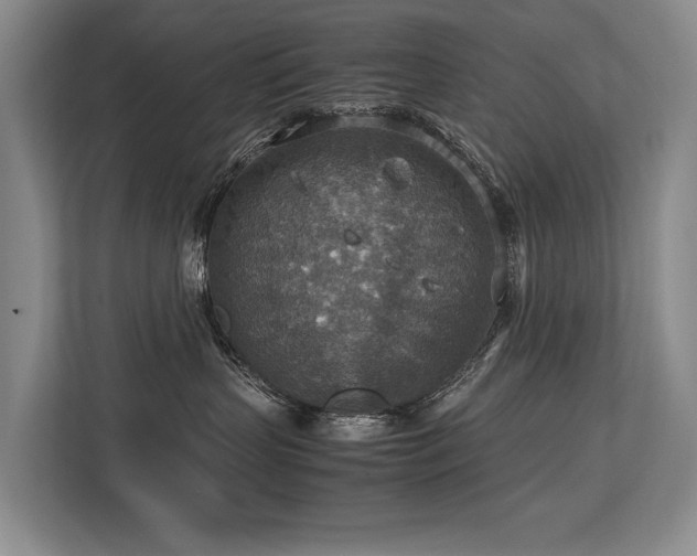 X0000113780383200909231320