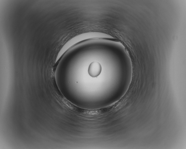 X0000113780384200909231320