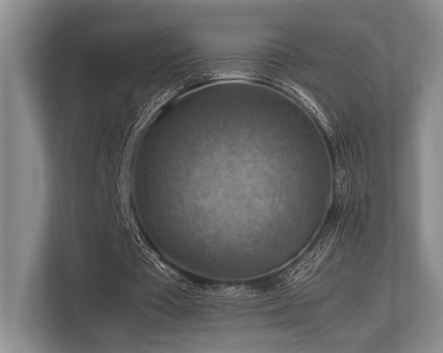 X0000113780385200909231320