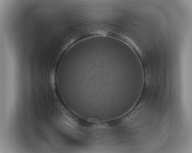 X0000113780386200909231320