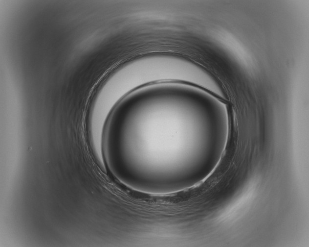 X0000113780387200909231320