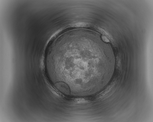 X0000113780392200909231320