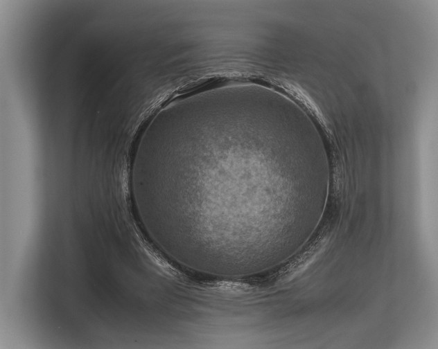 X0000113780393200909231320