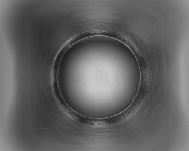 X0000113780395200909231320