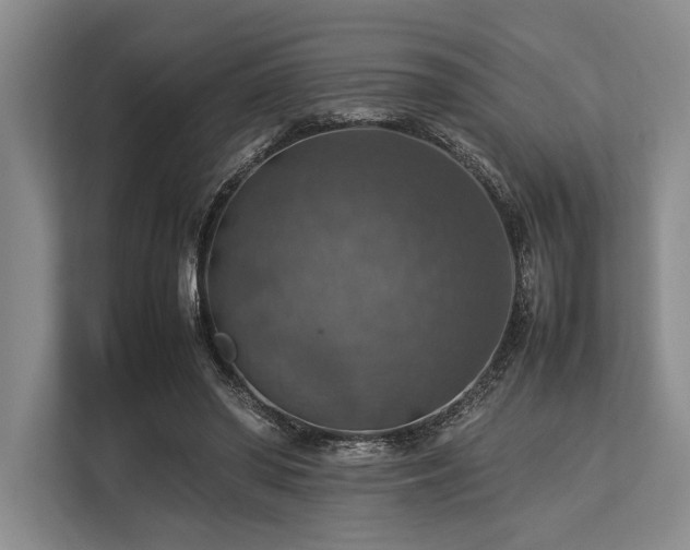 X0000113780398200909231320