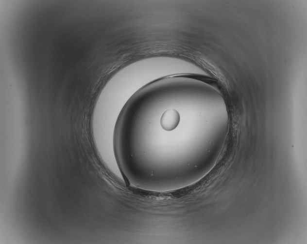 X0000113780401200909231320