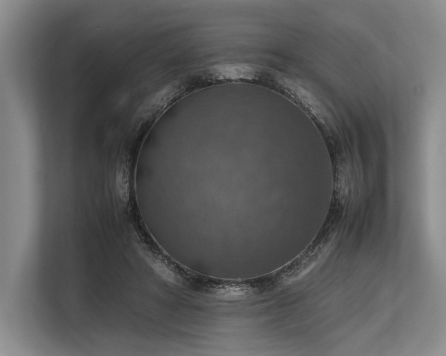 X0000113780402200909231320