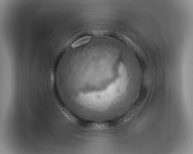 X0000113780405200909231320