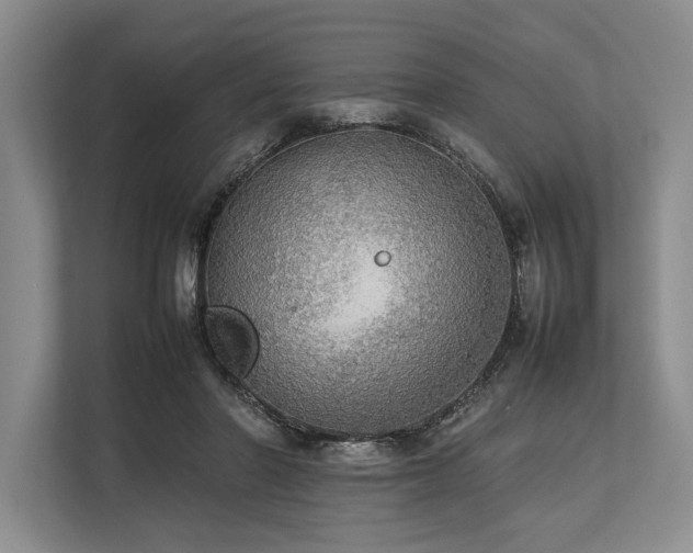 X0000113780406200909231320