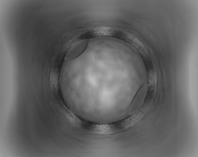 X0000113780409200909231320