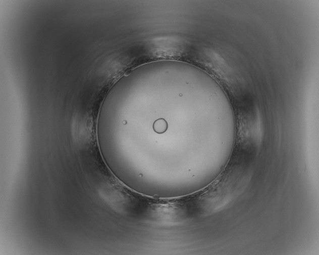 X0000113780411200909231319