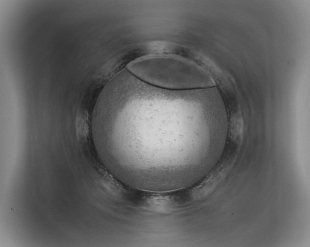 X0000113780413200909231319