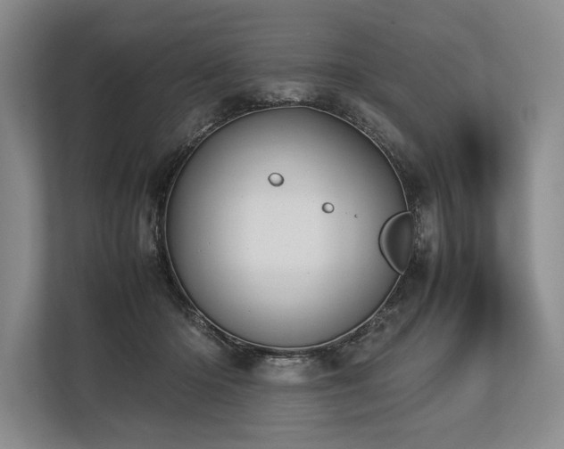 X0000113780414200909231319