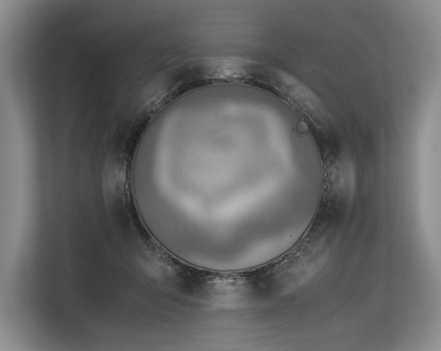 X0000113780415200909231319