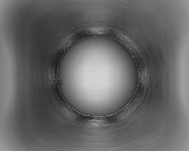 X0000113780418200909231319