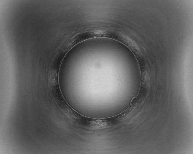 X0000113780421200909231319