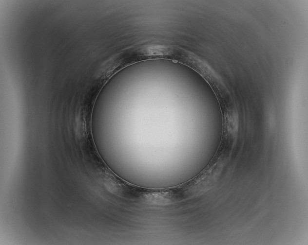 X0000113780422200909231319
