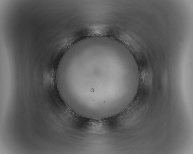 X0000113780423200909231319